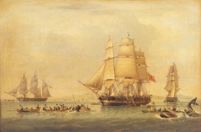 Velrybáři z rybolovu jižních moří, od John of Hull Ward