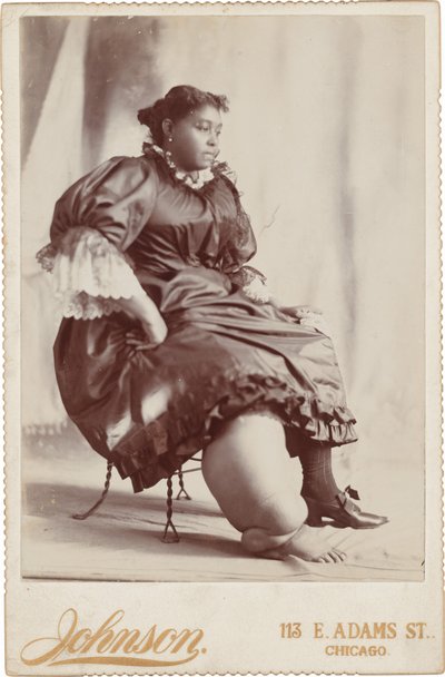Portrét ženy, c. 1890 (foto) od Johnson