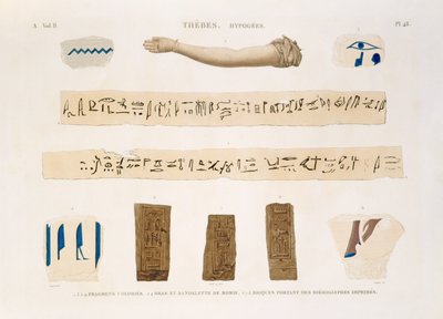 Ilustrace hieroglyfů a paže mumie z Hypogees, Théby, deska 48 ze svazku II „Popisy Egypta“, vyryl Charles, 1822 (akvatinta) od Jomard