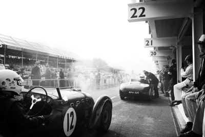 Panství Goodwood v Západním Sussexu, Velká Británie, 2018 (foto) od Jon Nicholson