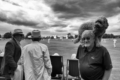 Panství Goodwood v Západním Sussexu, Velká Británie, 2018 (foto) od Jon Nicholson