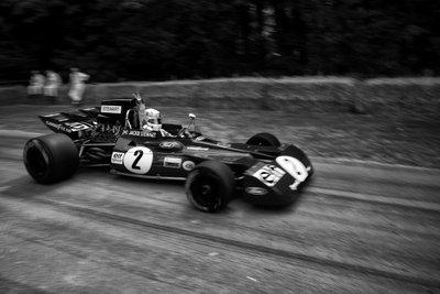 The Goodwood Estate v Západním Sussexu, Velká Británie, 2019 (foto) od Jon Nicholson