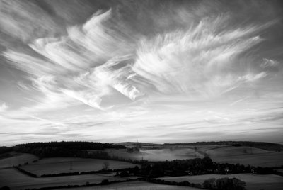 The Goodwood Estate v Západním Sussexu, Velká Británie, 2019 (foto) od Jon Nicholson