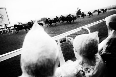 The Goodwood Estate v Západním Sussexu, Velká Británie, 2019 (foto) od Jon Nicholson