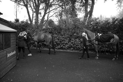 The Goodwood Estate v Západním Sussexu, Velká Británie, 2019 (foto) od Jon Nicholson