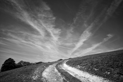 The Goodwood Estate v Západním Sussexu, Velká Británie, 2019 (foto) od Jon Nicholson