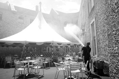 The Goodwood Estate v Západním Sussexu, Velká Británie, 2019 (foto) od Jon Nicholson