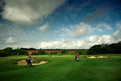 The Goodwood Estate v Západním Sussexu, Velká Británie, 2019 (foto) od Jon Nicholson