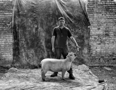 The Goodwood Estate v Západním Sussexu, Velká Británie, 2019 (foto) od Jon Nicholson