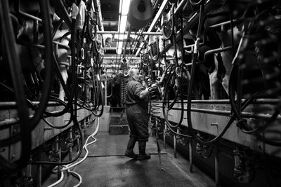 The Goodwood Estate v Západním Sussexu, Velká Británie, 2019 (foto) od Jon Nicholson