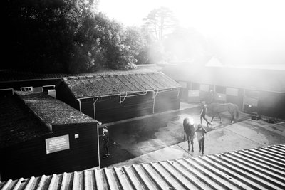 The Goodwood Estate v Západním Sussexu, Velká Británie, 2019 (foto) od Jon Nicholson