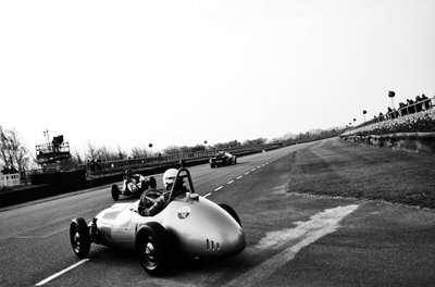 The Goodwood Estate v Západním Sussexu, Velká Británie, 2019 (foto) od Jon Nicholson