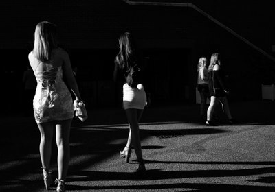 The Goodwood Estate v Západním Sussexu, Velká Británie, 2019 (foto) od Jon Nicholson