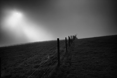 The Goodwood Estate v Západním Sussexu, Velká Británie, 2019 (foto) od Jon Nicholson