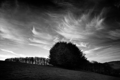 The Goodwood Estate v Západním Sussexu, Velká Británie, 2019 (foto) od Jon Nicholson