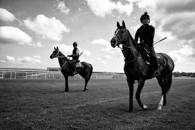 The Goodwood Estate v Západním Sussexu, Velká Británie, 2019 (foto) od Jon Nicholson