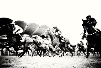 The Goodwood Estate v Západním Sussexu, Velká Británie, 2019 (foto) od Jon Nicholson