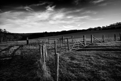 The Goodwood Estate v Západním Sussexu, Velká Británie, 2019 (foto) od Jon Nicholson