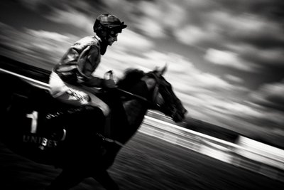 Panství Goodwood v Západním Sussexu, Spojené království, 2020 (foto) od Jon Nicholson