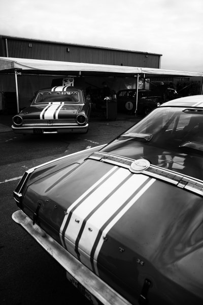 Panství Goodwood v Západním Sussexu, Spojené království, 2020 (foto) od Jon Nicholson