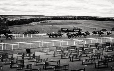 Panství Goodwood v Západním Sussexu, Spojené království, 2020 (foto) od Jon Nicholson