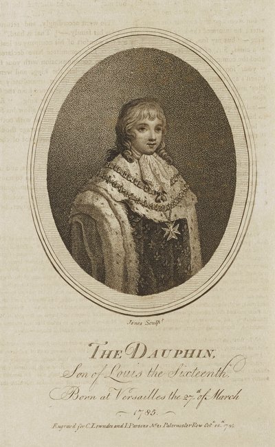 Delfín od Jones