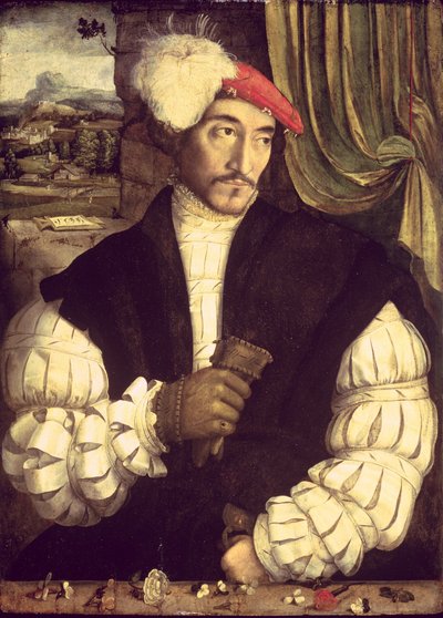 Portrét muže, 1533 od Jorg I Breu