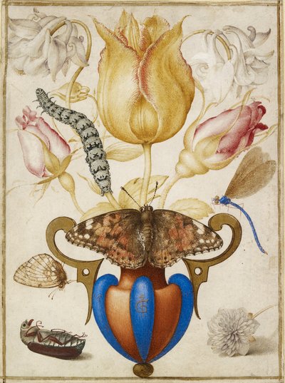 Uspořádání květin ve váze, s hmyzem, 1594 od Joris Hoefnagel