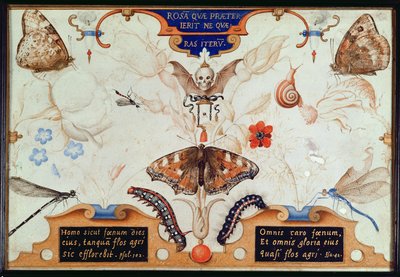 Diptych s květinami a hmyzem, 1591 (marufláž a pergamen na panelu) od Joris Hoefnagel