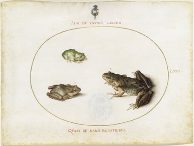  od Joris Hoefnagel