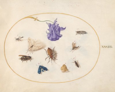 Hmyz, kolem 1575-80 od Joris Hoefnagel