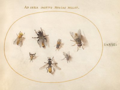 Deska 68: Sedm včel a much od Joris Hoefnagel