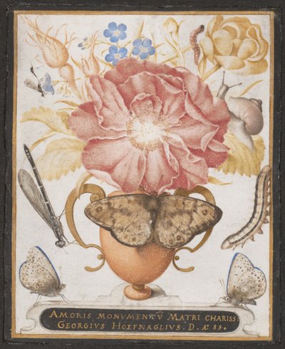 Zátiší s květinami, šnekem a hmyzem, 1589. od Joris Hoefnagel