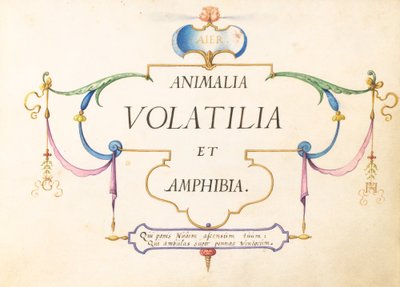 Titulní strana od Joris Hoefnagel
