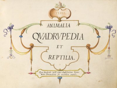 Titulní strana od Joris Hoefnagel