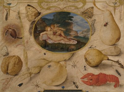 Venuše odzbrojující Amora v medailonu obklopeném rostlinami, ovocem, hmyzem a měkkýši, c. 1595 (WC a barva karoserie) od Joris Hoefnagel