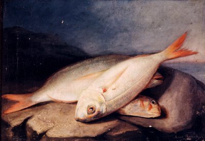 Španělsky: Bodegón de peces od José Arias Ramírez