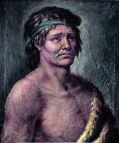 Portrét indiána z Patagonie, kresba vytvořená během expedice Alessandra Malaspiny v Jižní Americe, ca. 1791 (kresba) od José del Pozo