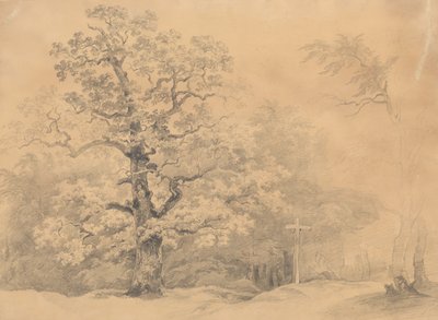 Studie o stromech od Josef Kriehuber