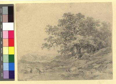 Studie krajiny od Josef Kriehuber