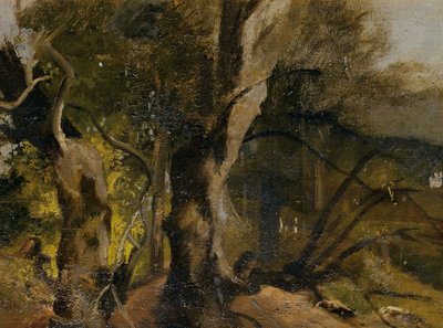 Waldstudie od Josef Navrátil