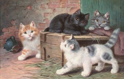 Kočičí pohlednice (barevná litografie) od Josef Sperlich