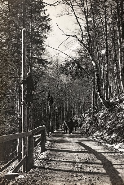 Album "Moje světová válka - vzpomínky na jihozápadní frontu v Korutanech, Itálie, Trentino-Alto Adige) 31.3.1915-12.11. 1918 - Josef Zohles Vídeň ": vojáci do práce (čb foto od Josef Zohles