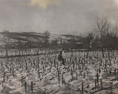 Album "Moje světová válka - vzpomínky na jihozápadní frontu v Korutanech, Itálie, Trentino-Alto Adige) 31.3.1915-12.11. 1918 - Josef Zohles Vídeň ": vojenský hřbitov (č/b foto od Josef Zohles