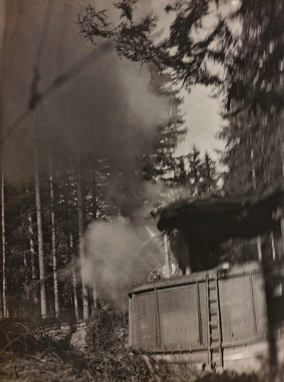 Album "Moje světová válka - vzpomínky na jihozápadní frontu v Korutanech, Itálie, Trentino-Alto Adige) 31.3.1915-12.11. 1918 - Josef Zohles Vídeň ": minomet Morser v akci ( od Josef Zohles