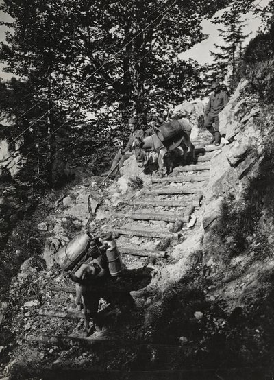 Album "Moje světová válka - vzpomínky na jihozápadní frontu v Korutanech, Itálie, Trentino-Alto Adige) 31/03/1915-12/11/ 1918 - Josef Zohles Wien ": Armádní mezci podél strmé deště od Josef Zohles