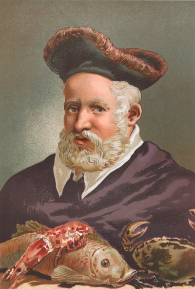 Guillaume Rondelet od Josep or Jose Planella Coromina