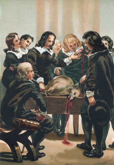William Harvey demonstruje krevní oběh od Josep or Jose Planella Coromina