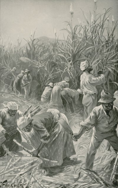 Black při práci na plantáži cukrové třtiny na Jamajce (litho) od Joseph (after) Finnemore