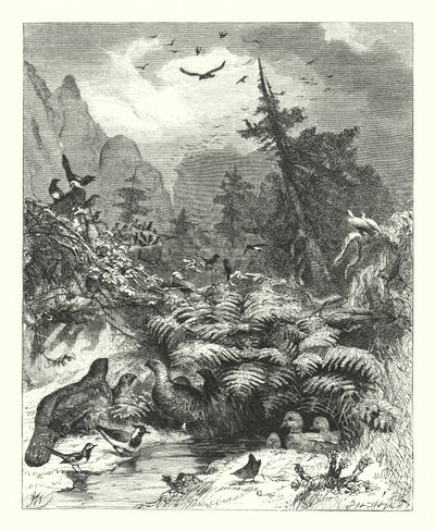 Závěsný od Joseph (after) Wolf